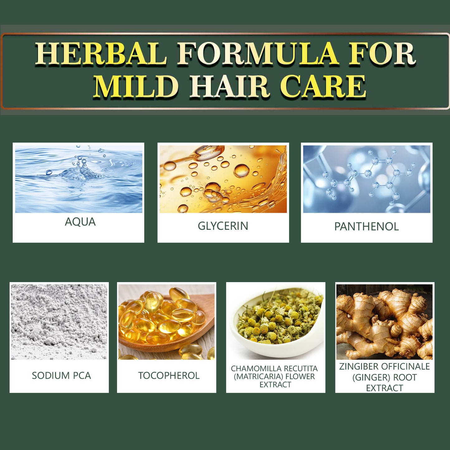 GDBadais Ginger Hair Care Essential Oil Refreshing And Nourishing Scalp Follicles And Strengthening Hair Nutrition Solution
