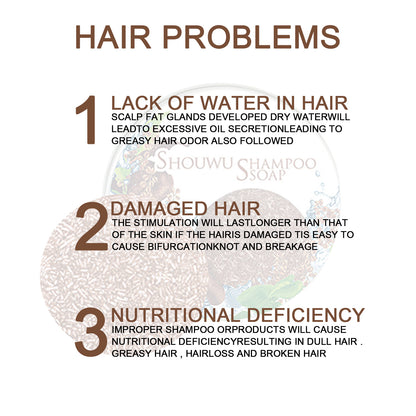 GDBadais Polygonum Multiflorum Shampoo Cake, Nourishing Root Essential Oil Shampoo Black Soothing Vegetable Shampoo