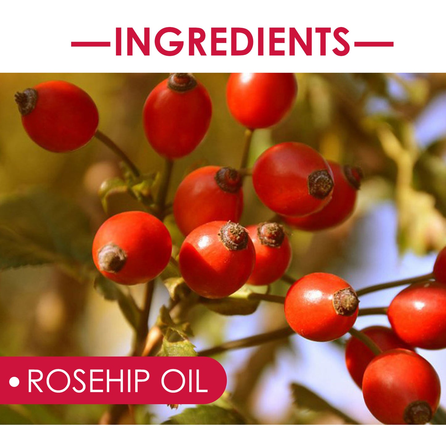 GDBadais Rose Hip Facial Essential Oil Facial Body Moisturizing Skin care Supple Hair Care Massage Essential Oil