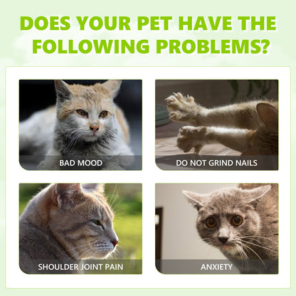 GDBadais Catnip Spray, Relieve Cat Anxiety And Enhance Pet Vitality Health Care Spray
